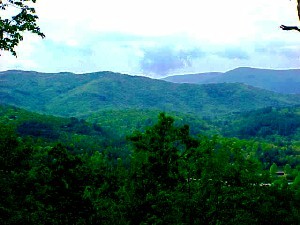 Rich Mountain Preserve